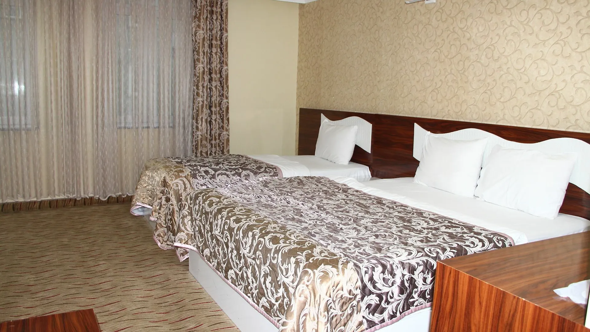 Sinan Hotel アンカラ