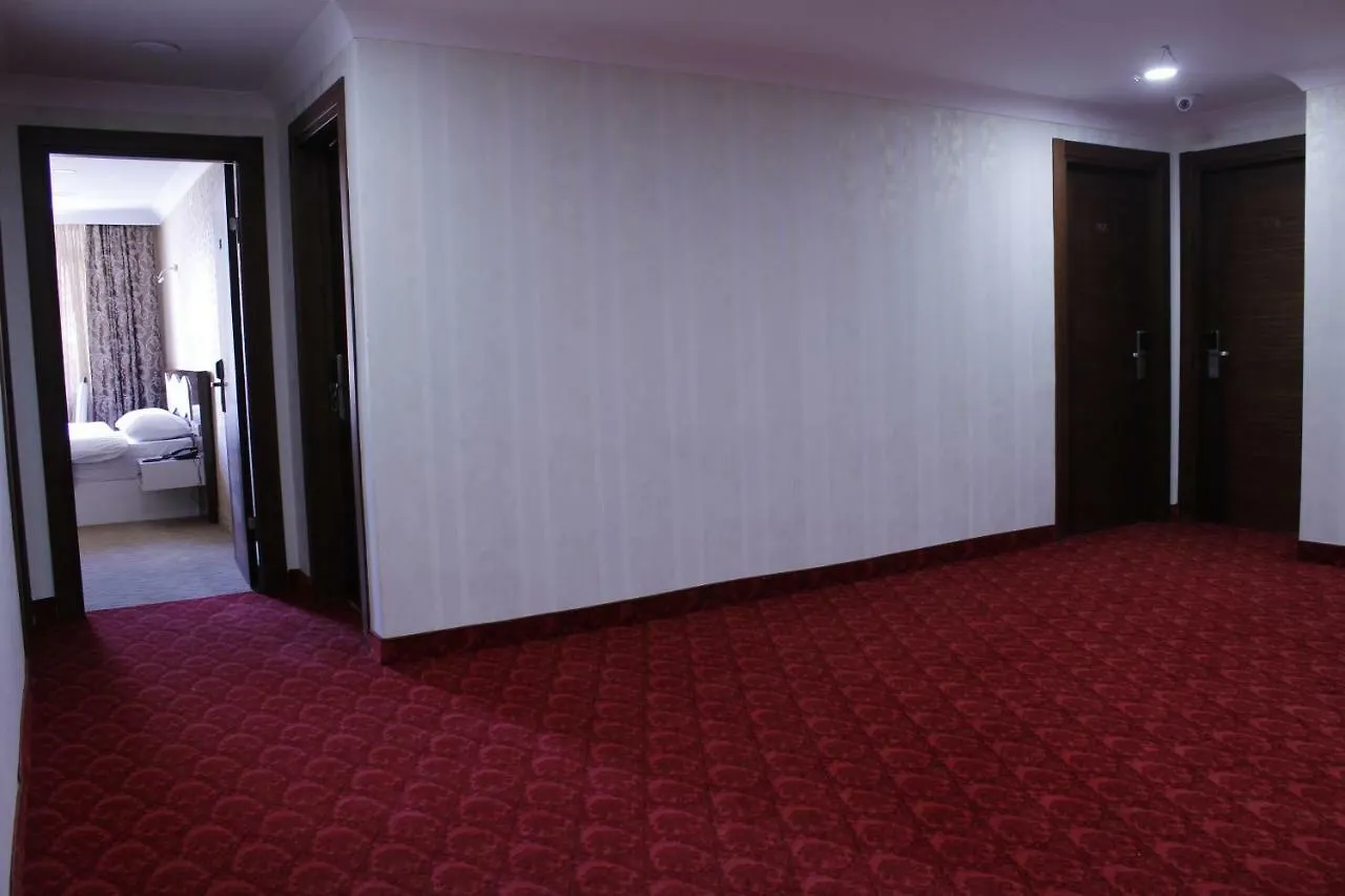 Sinan Hotel アンカラ